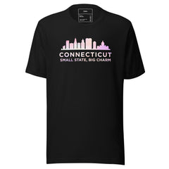 CONNECTICUS SMALL STATE BIG CHARM